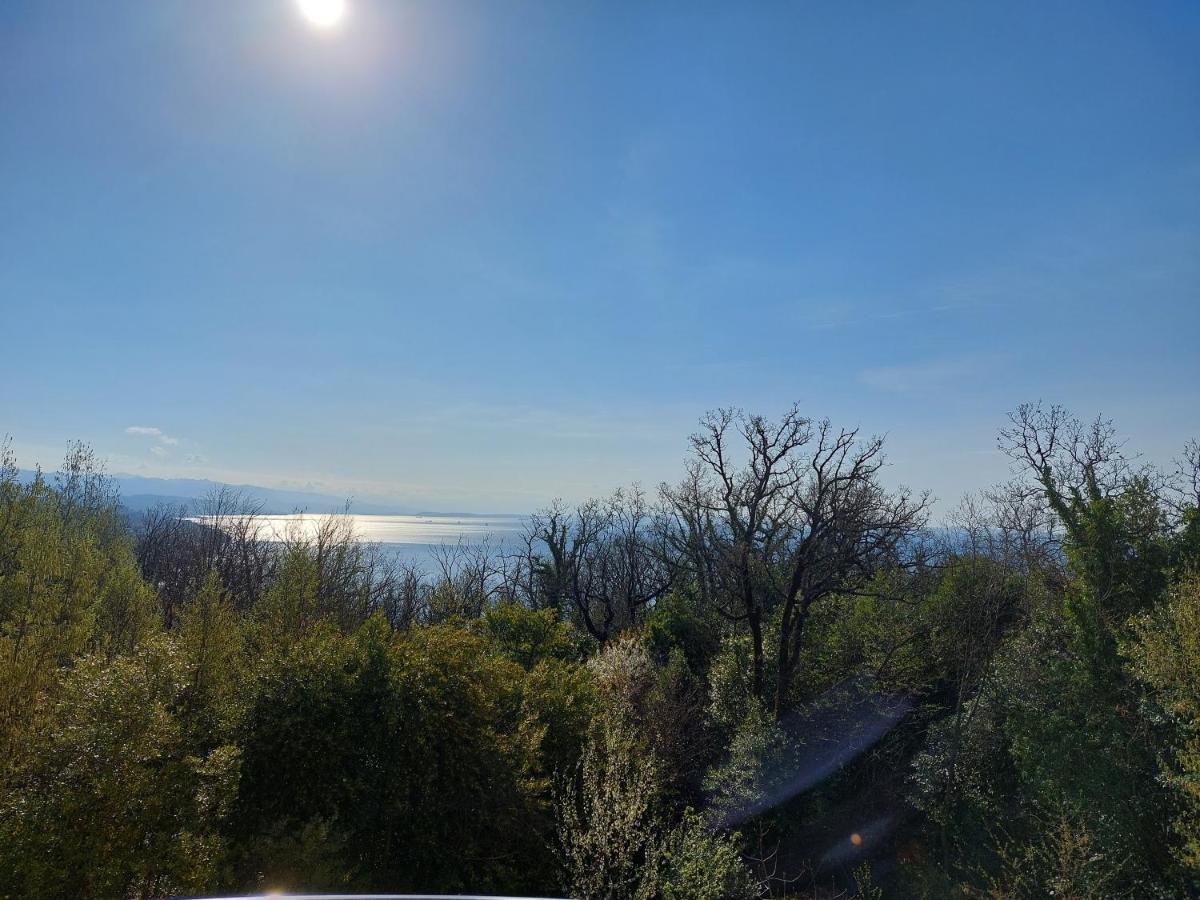 Starry Night - Smart Tv, Extra Big Bed, Big Bathtub, Private Parking, Sea View, Wifi, 2Bedrooms Volosko Esterno foto